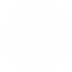 Gecko Compliance AG Logo
